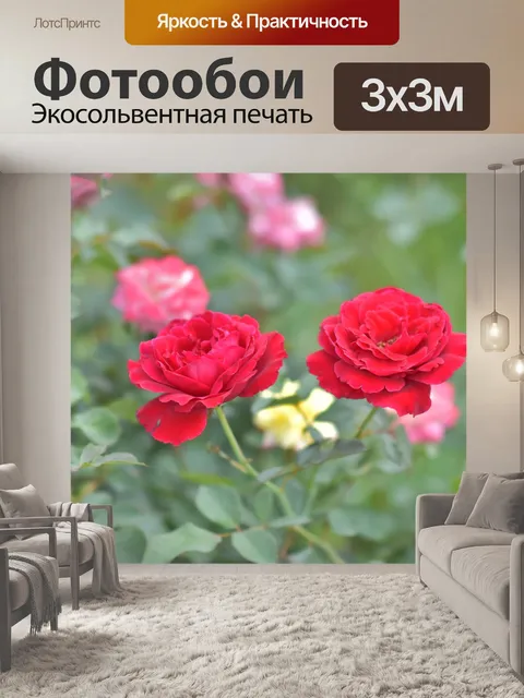 Фотообои Сад