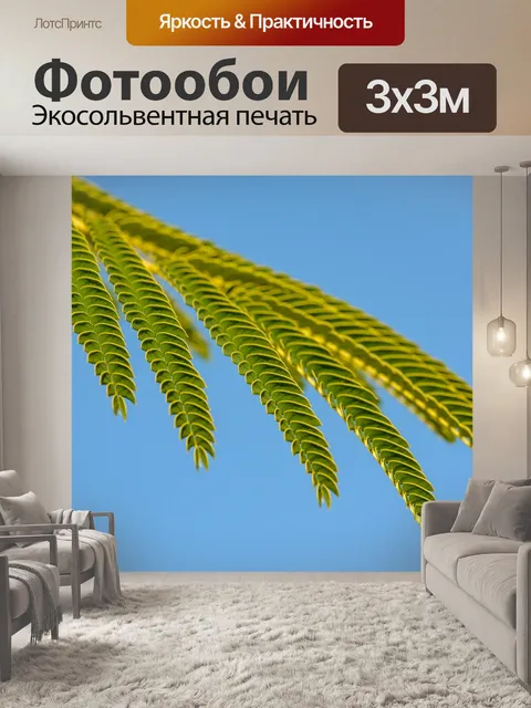 Фотообои Листья