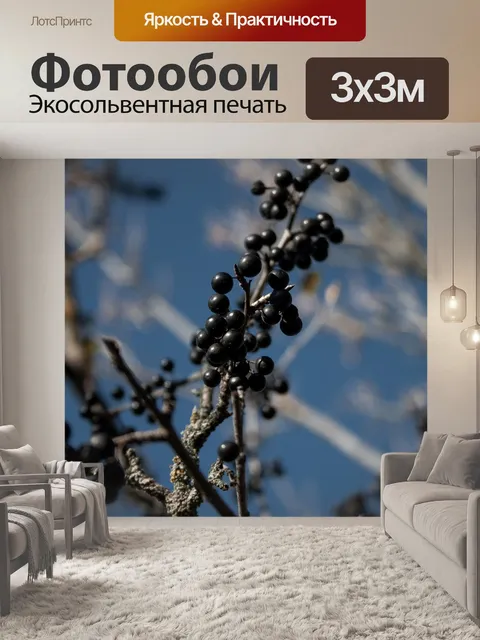 Фотообои Ягода
