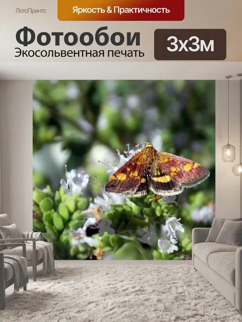 Фотообои Бабочки