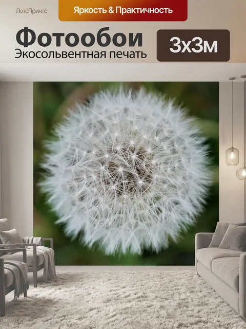 Фотообои Одуванчик