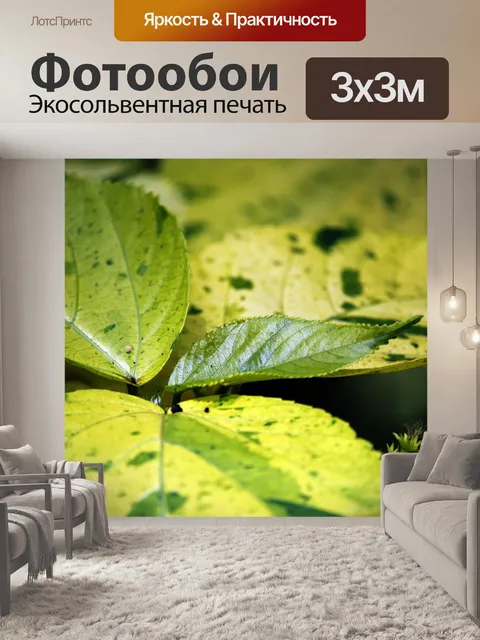 Фотообои листья