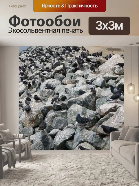 Фотообои Голуби