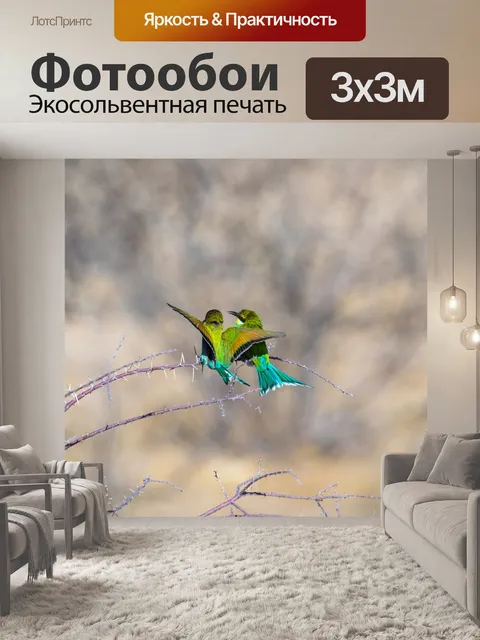 Фотообои Золотистая щурка