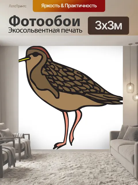 Фотообои Птица