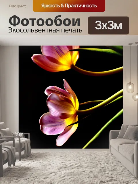 Фотообои Тюльпаны