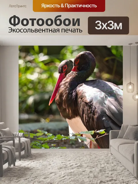 Фотообои Аисты