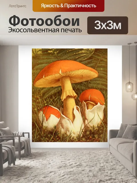 Фотообои Грибы век винтаж старый