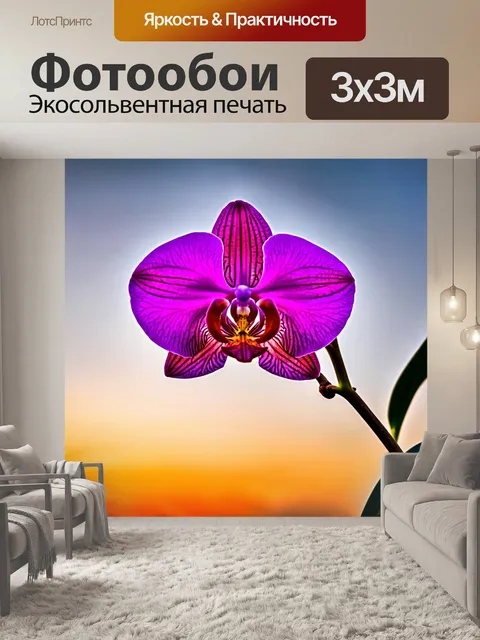 Фотообои орхидея, ярко-розовая, на фоне закатного неба, отражая различные оттенки пурпурного и оранжевого