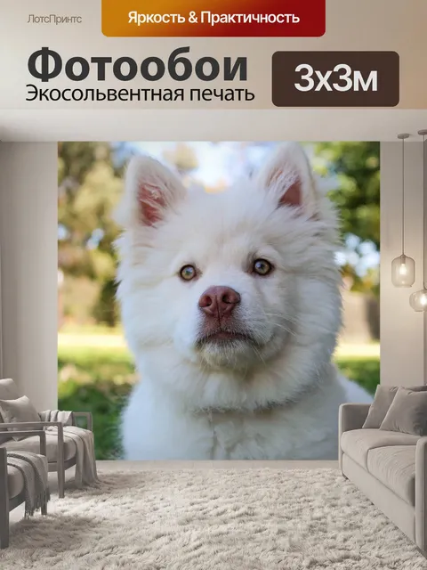 Фотообои Собаки