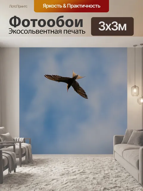 Фотообои Полярная крачка