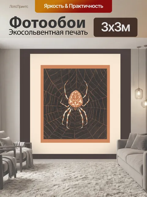Фотообои Паук прядет в сети Винтаж