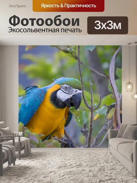 Фотообои Птица