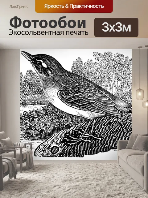 Фотообои Осоковая камышевка
