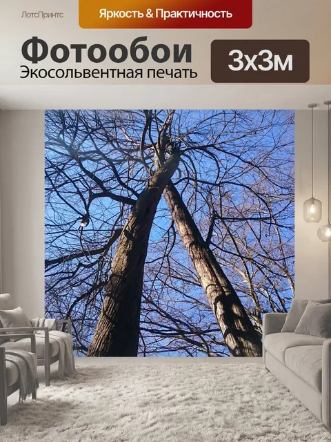 Фотообои Дерево