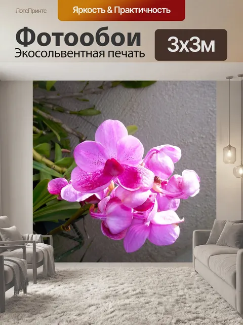 Фотообои Цветок