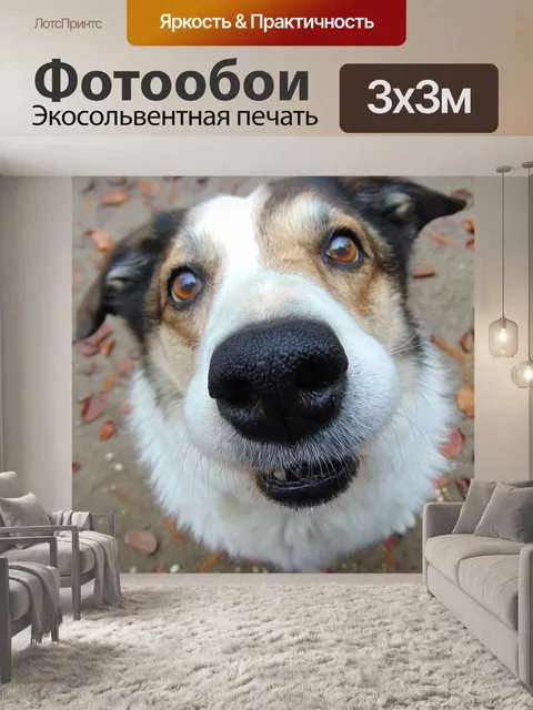 Фотообои Собака