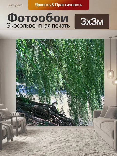 Фотообои ива над водой