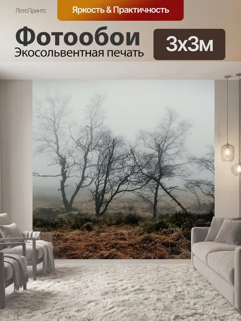 Фотообои Туман