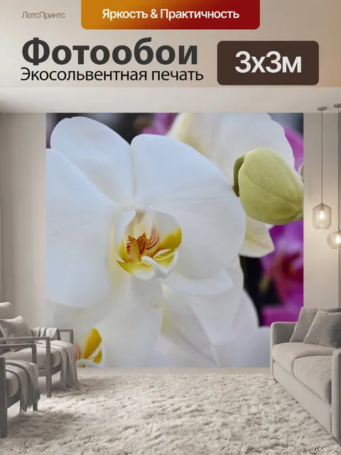 Фотообои Цветок