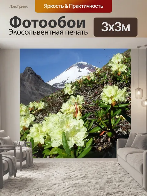 Фотообои Вулкан