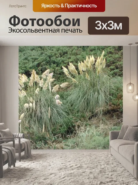 Фотообои Высокий пампа травы