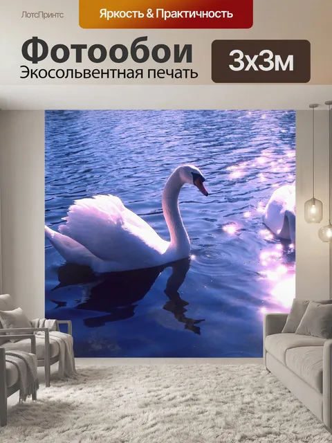 Фотообои Лебеди
