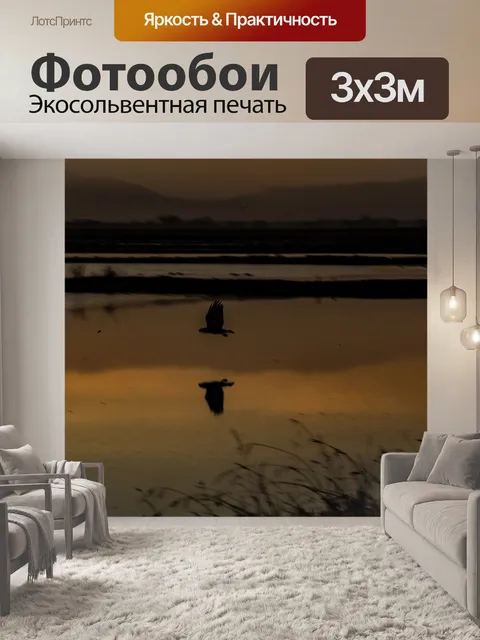 Фотообои Птица летит низко над водой