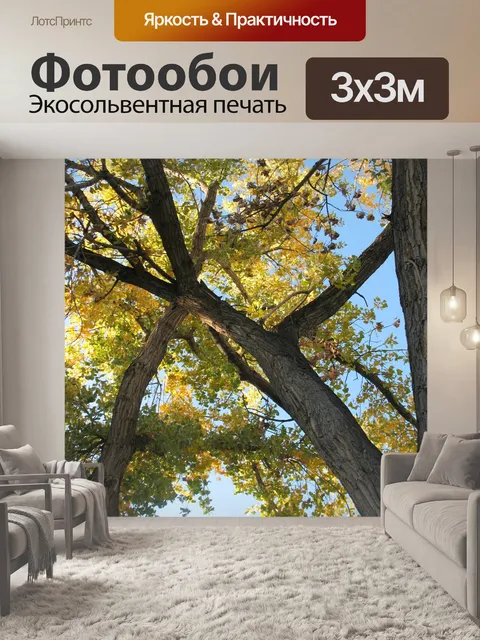 Фотообои Ветви дерева