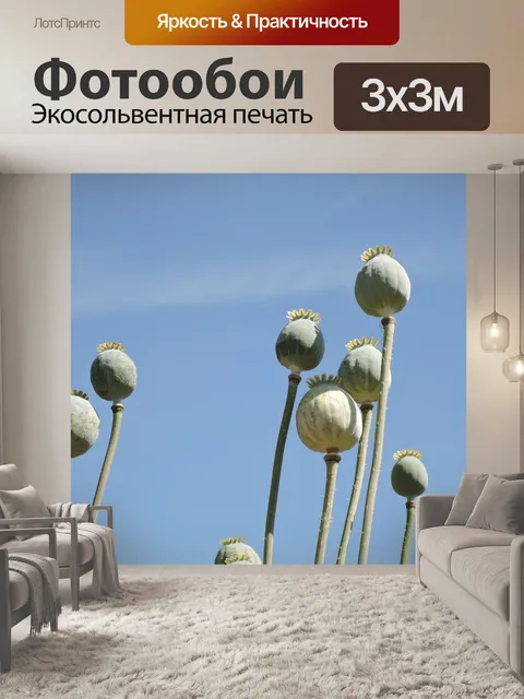 Фотообои Маки