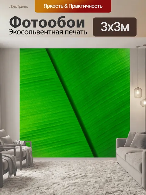 Фотообои Тропический лист фон