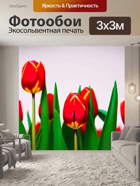Фотообои тюльпаны в стиле минимализм