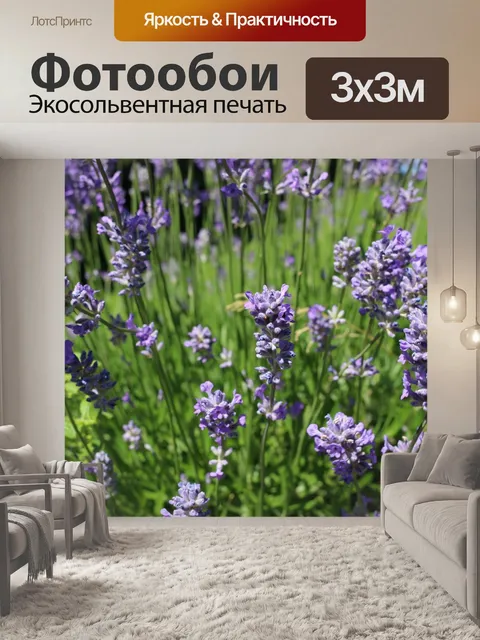 Фотообои Лаванда