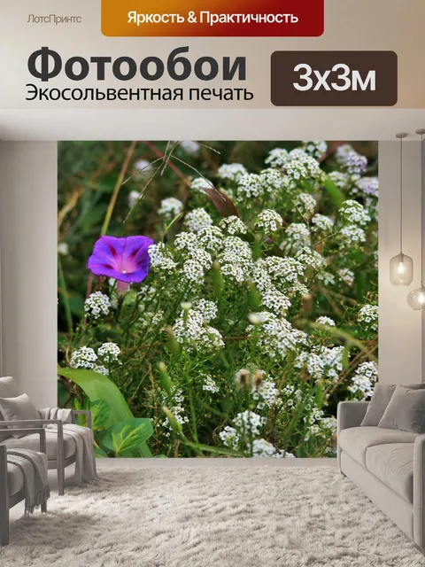Фотообои белый бурачок и ипомеи