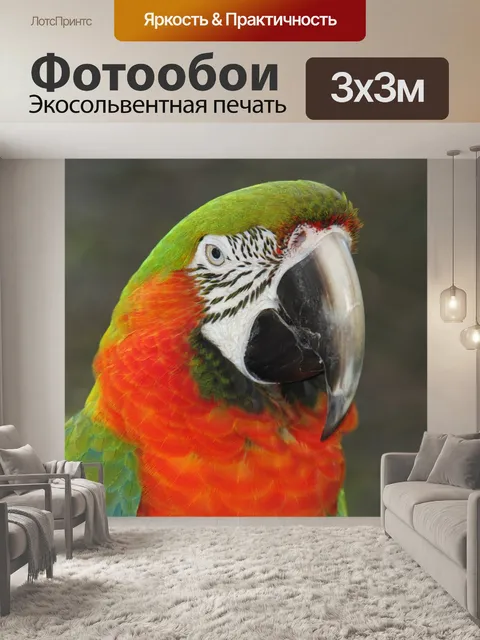 Фотообои Птицы