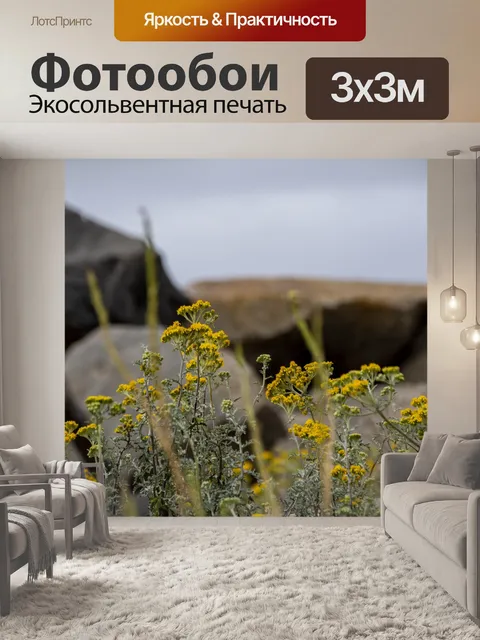 Фотообои Желтые полевые цветы