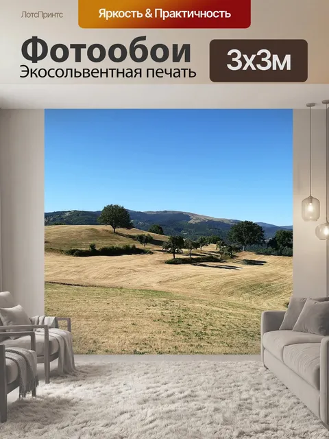Фотообои Поля