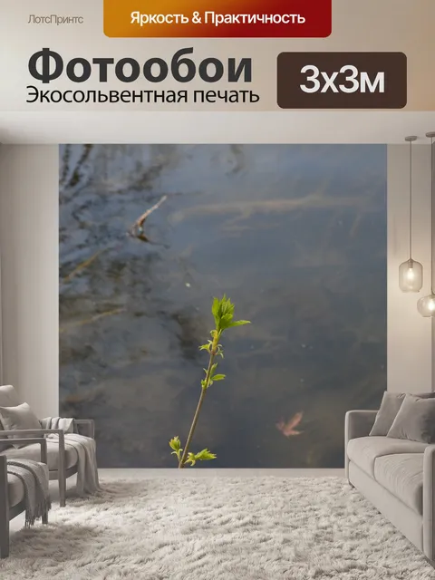 Фотообои Листья