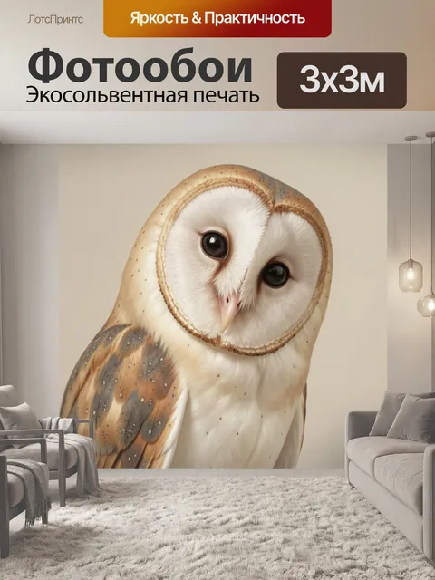 Фотообои Сова с большими глазами