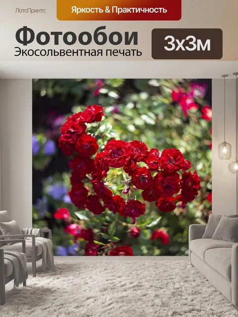 Фотообои Розы
