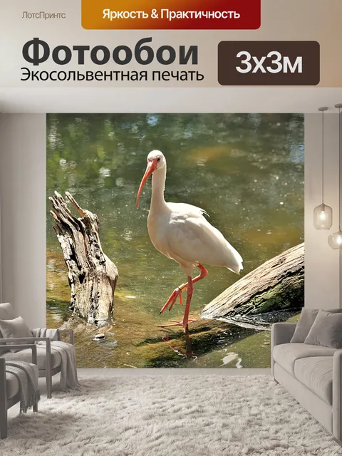 Фотообои Ибис, стоящий на падшем журнале