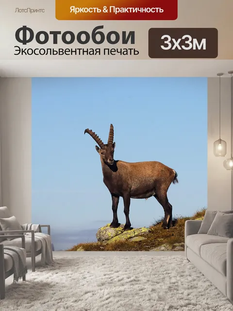 Фотообои Козерог