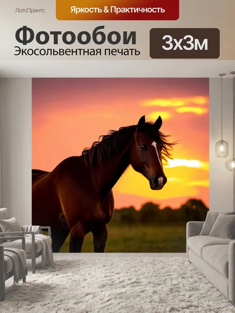 Фотообои лошадь стоит на фоне заката