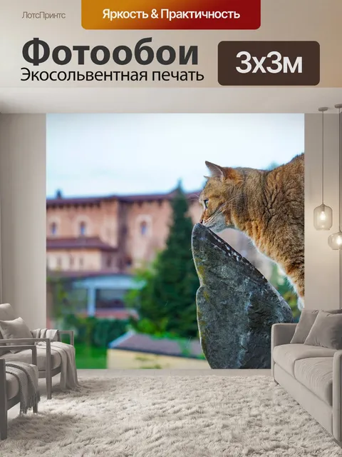 Фотообои Кошка
