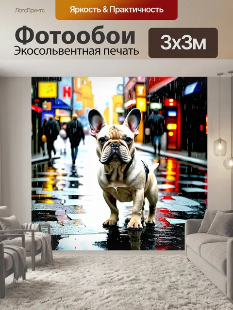 Фотообои сцена с французским бульдогом на улице в дождливую погоду