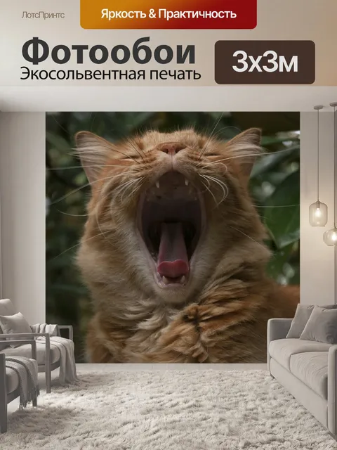 Фотообои Кошка