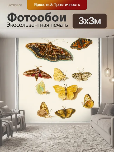 Фотообои Бабочки мотылек арт винтаж