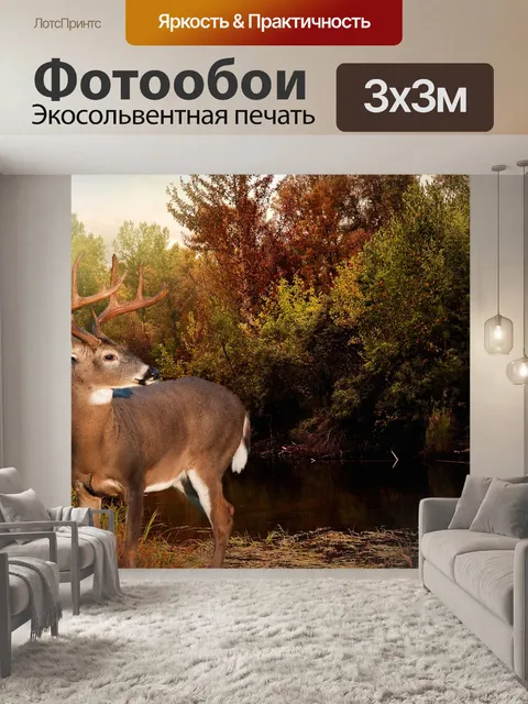 Фотообои Олень