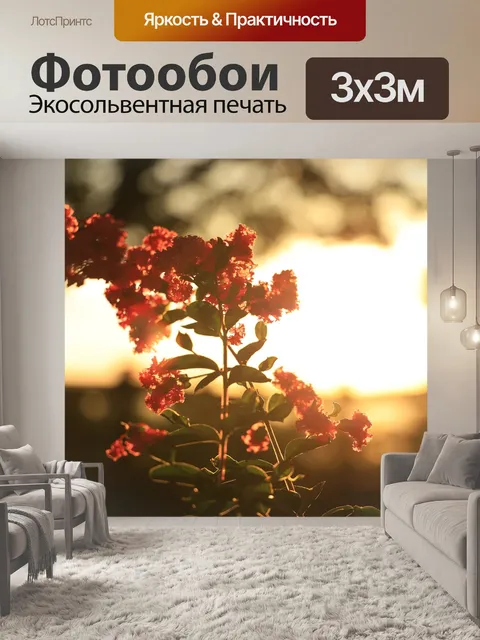Фотообои Заход солнца