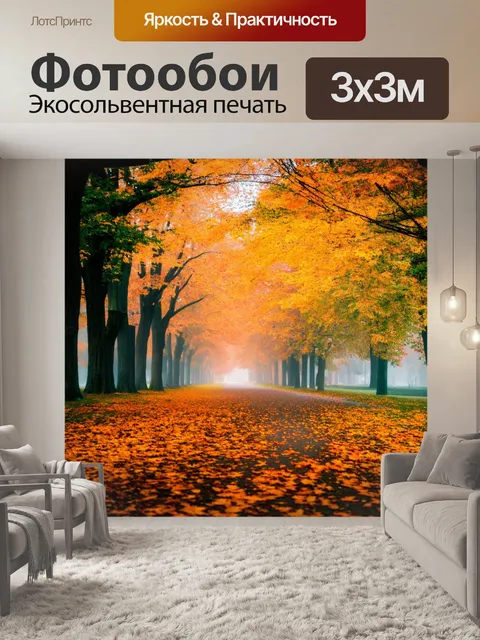 Фотообои туман в стиле логотип с осенним парком, яркие листья, холодный туман стелится по тропинкам